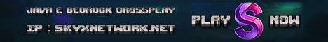 Sky X Network