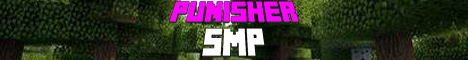 Punisher Smp