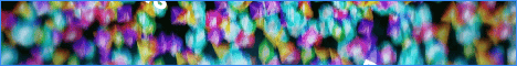 DelveSMP server banner