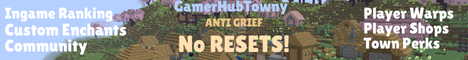 Gamer Hub Towny