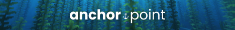 Anchorpoint