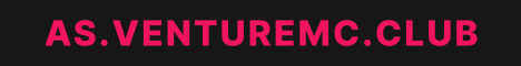 VentureMC