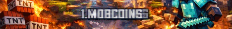 Quantum Network