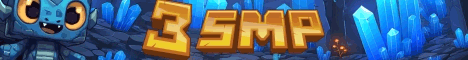 3 SMP
