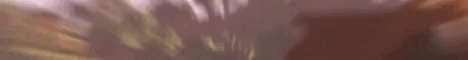 cjsv.hidenfree.com