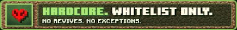 netgraph.gg
