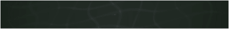 Voided Network