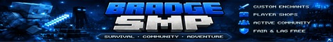 BradgeSMP