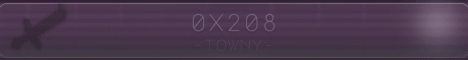 0x208