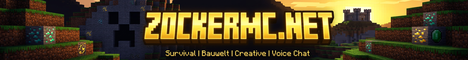 ZockerMc.net