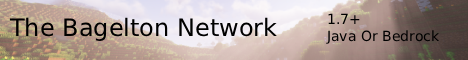 The Bagelton Network