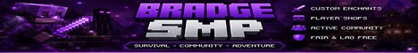 Bradge SMP