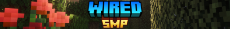 WiredSMP