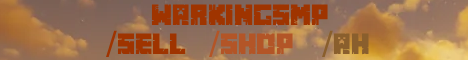 WarKingSMP
