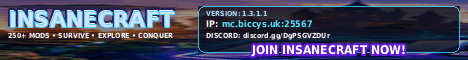 RX-Gaming Insanecraft