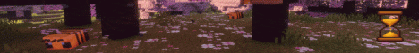 The Timeless SMP