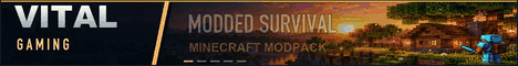 Vital Gaming