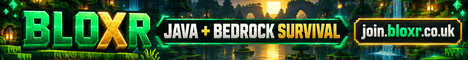 Bloxr | Minecraft Servers